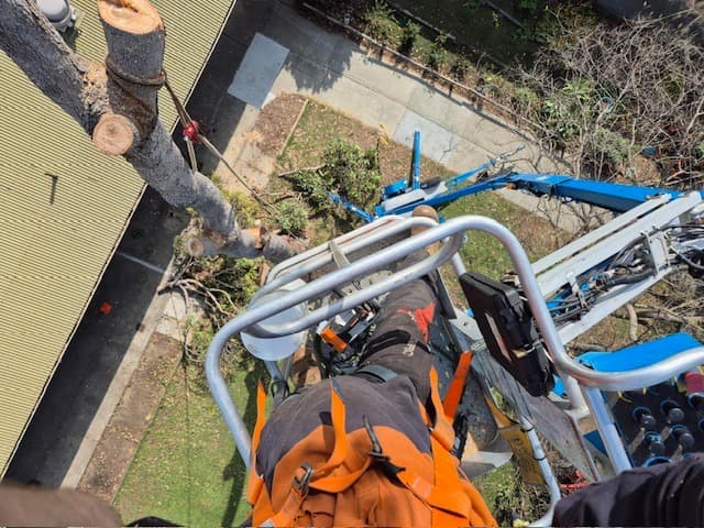 Looking down from EWP platform during removal